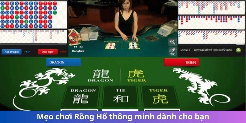 Mẹo chơi Rồng Hổ thông minh dành cho bạn