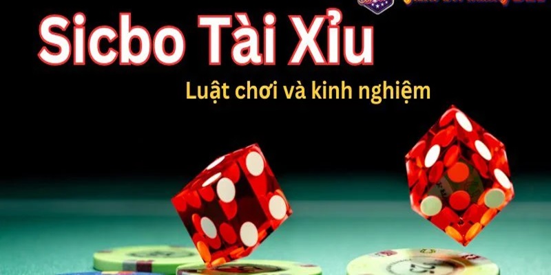 Một số kinh nghiệm thâu tóm từ cao thủ